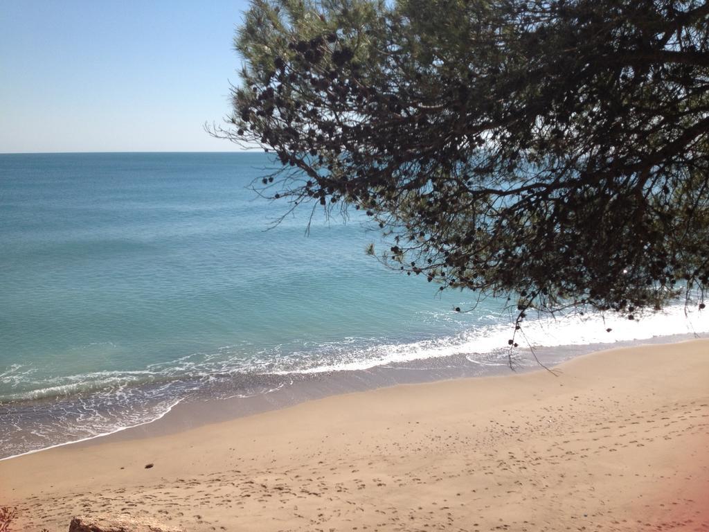 דירות Miami Playa Tropikana מראה חיצוני תמונה